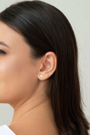 Brinco Estrela Cristal Ponto de Luz 6 mm Ródio Branco