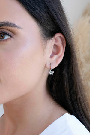 Brinco Argola Click Pet Cravejado 2.0 cm Ródio Branco