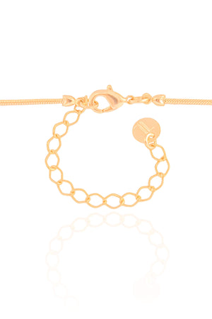 Gargantilha Rabo de Rato Pingente Orgânico Banhado a Ouro 18K - 40 cm