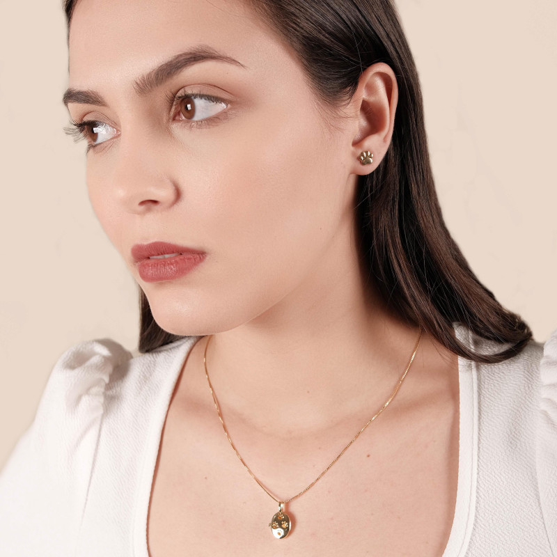 Brinco Pata Pet Liso Banhado a Ouro 18K