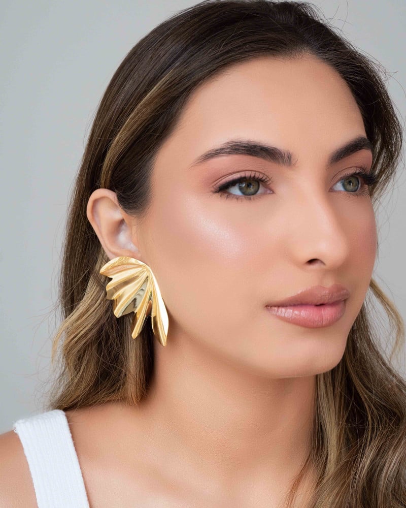 Brinco Asa Lisa Banhado a Ouro 18K