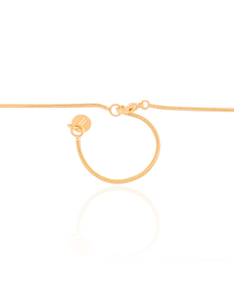 Gargantilha Rabo de Rato Pingente Orgânico Texturizado Banhado a Ouro 18K - 45 cm