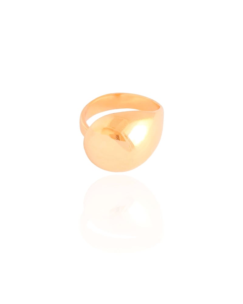 Anel Ajustável Gota Lisa Tamanho G Banhado a Ouro 18K