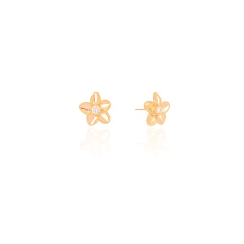 Brinco Flor Ponto de Luz Cristal 1.2 cm Banhado a Ouro 18K