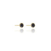 Brinco Ponto de Luz Negro Banhado a Ouro 18K