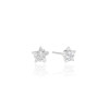 Brinco Estrela Cristal Ponto de Luz 6 mm Ródio Branco
