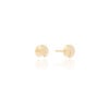 Brinco Redondo Achatado 6mm Banhado a Ouro 18K