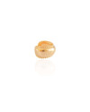 Piercing Liso Bolinhas Banhado a Ouro 18K