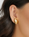 Brinco Concha Lisa 2.4 cm Banhado a Ouro 18K
