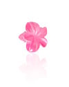 Presilha Flor Degradê PInk Brilhante Tamanho P