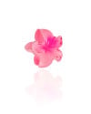 Presilha Flor Tropical Rosa Tamanho P