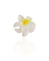 Presilha Flor Tropical Amarela Tamanho P