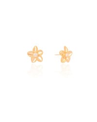 Brinco Flor Ponto de Luz Cristal 1.2 cm Banhado a Ouro 18K